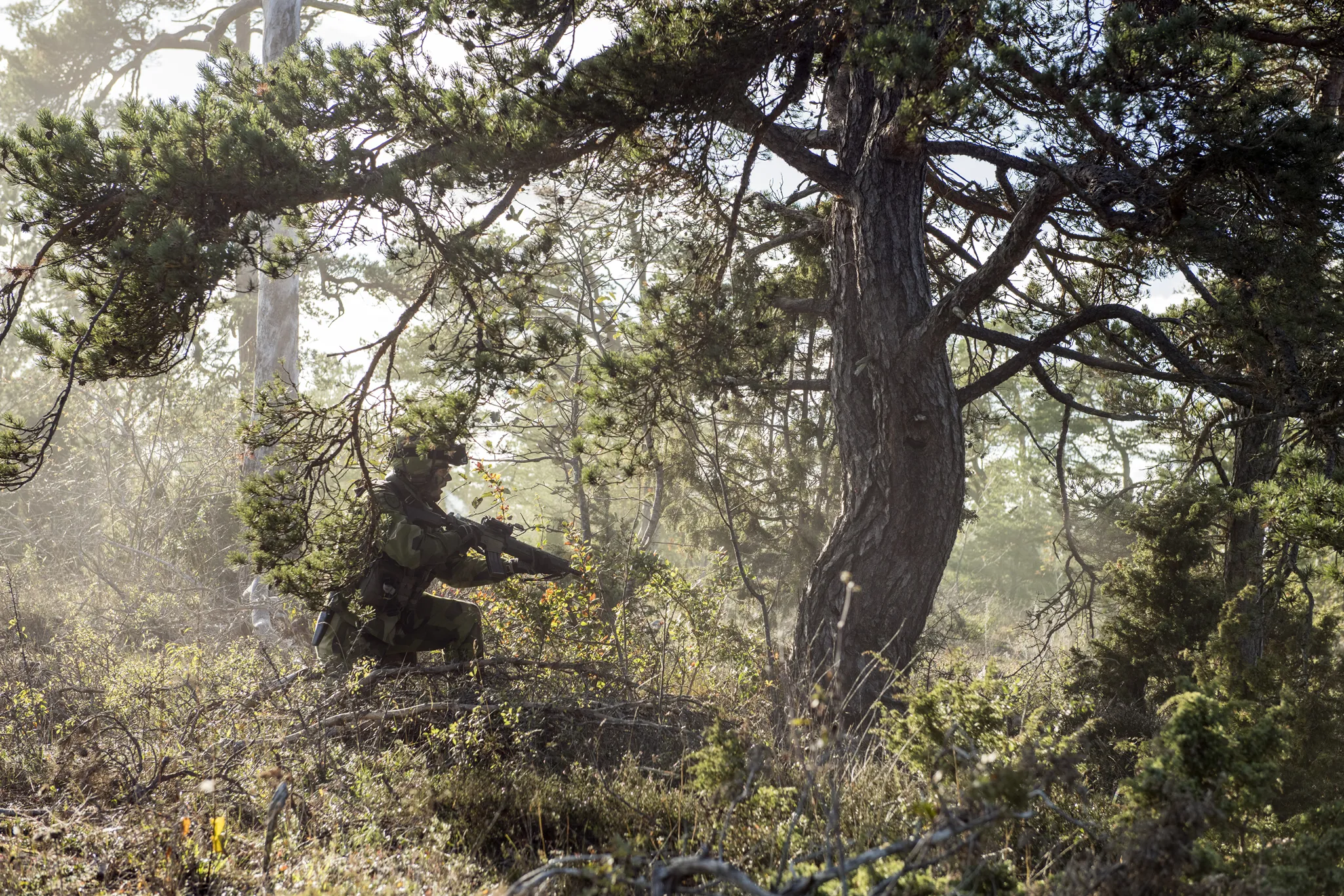 20201018_antseh01_OP_MSS_SUSA_GOTLAND_041