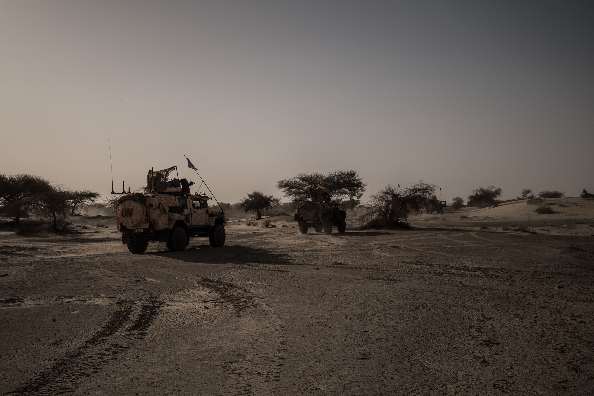 20170425_jimcro01_MALI05_VIPSRRP_DSC2894