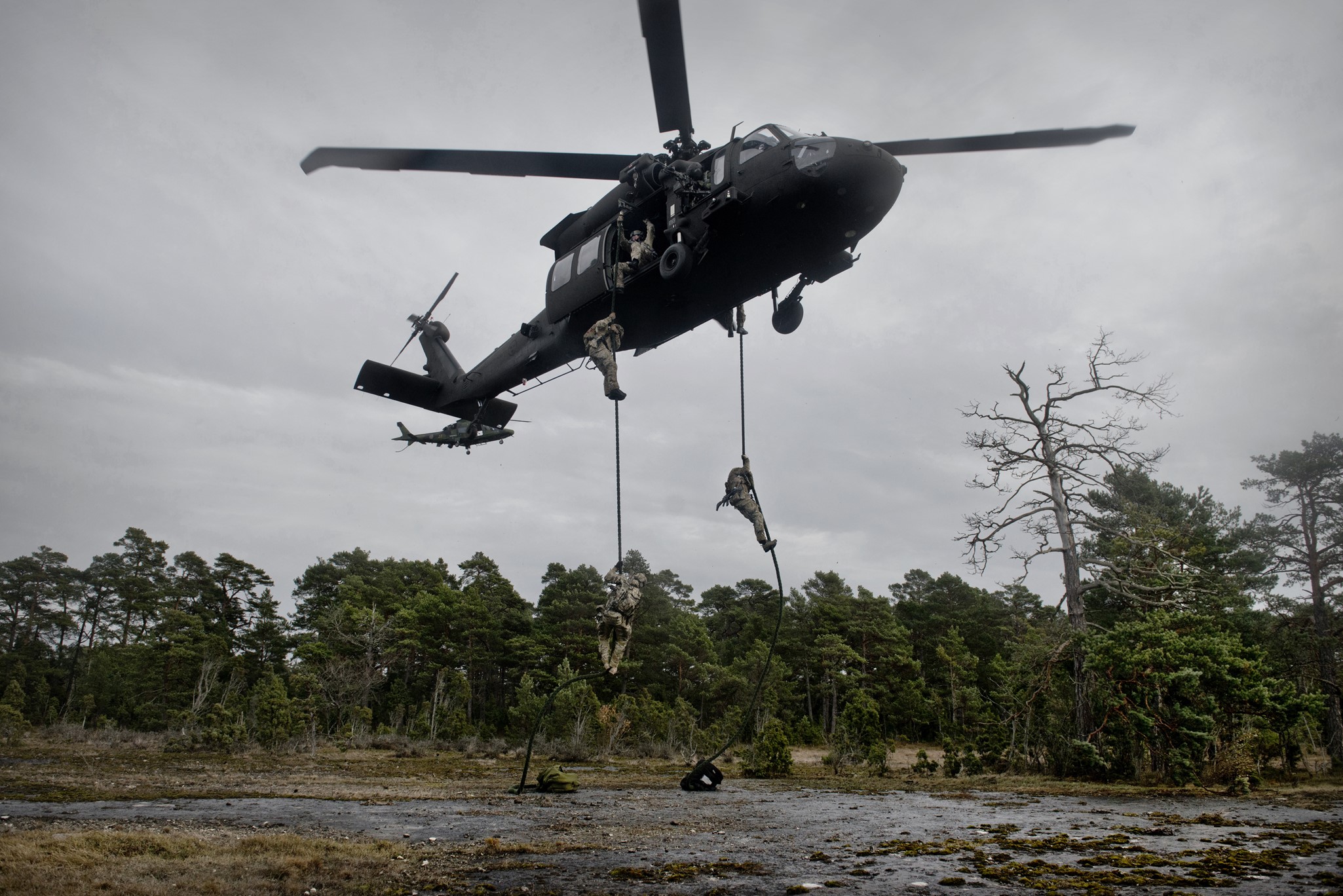 20151107_jimcro01_SOG_DSC9318
